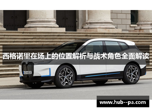 西格诺里在场上的位置解析与战术角色全面解读